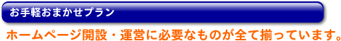 お手軽おまかせプラン